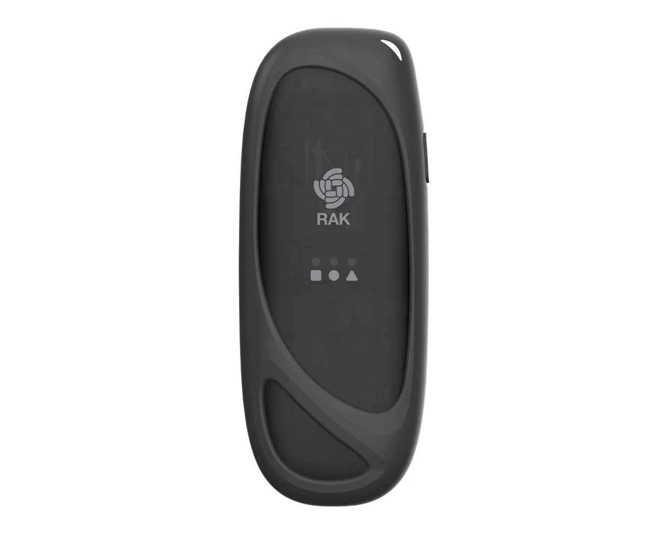 Meshtastic WisMesh Pod
