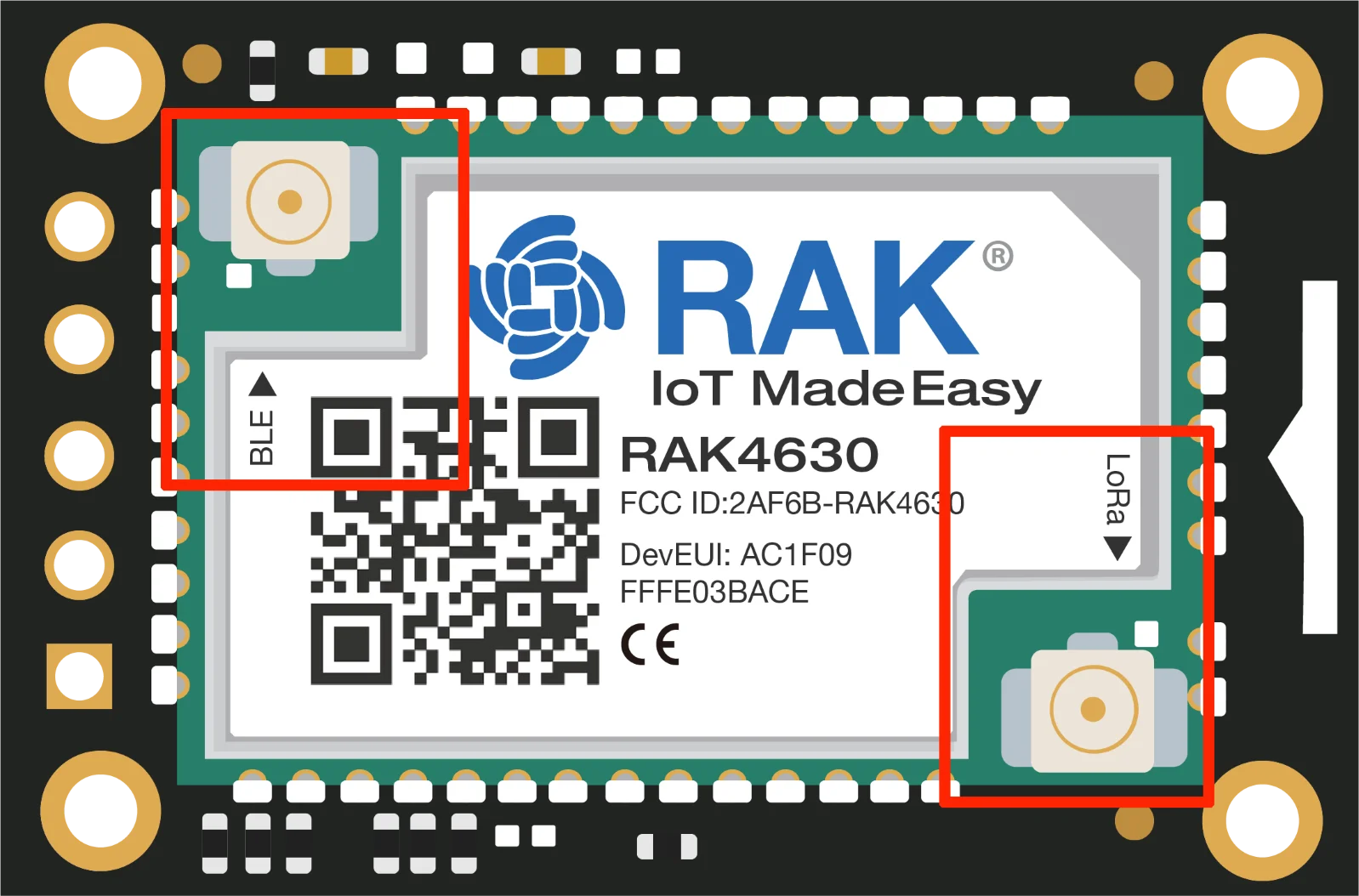 RAK4631 Antenna Label